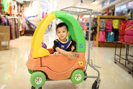 Laatste bedrijfsblogs Why is a Secure Shopping Trolley a Crucial Element of Your Store's Safety ?